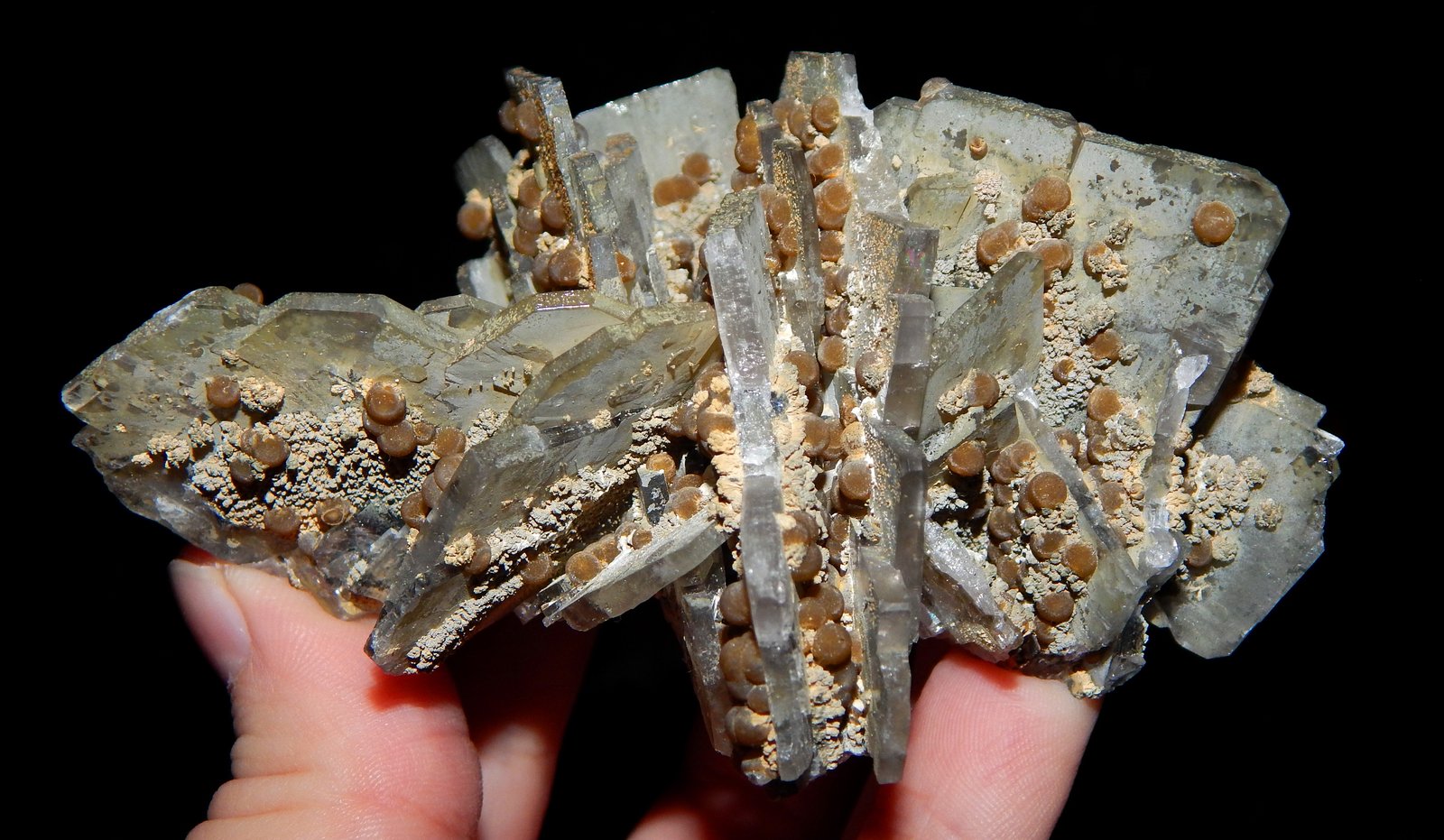 Siderite (variety spherosiderite) on Barite
9.5 x 4 cm
(Autor: Deyu)
