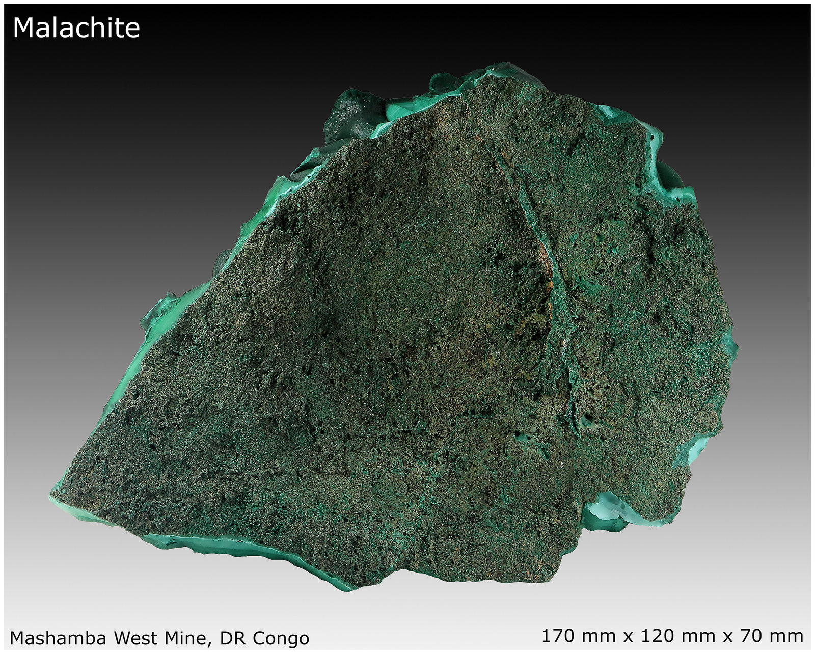 Malachite
170 mm x 120 mm x 70 mm
(Autor: silvia)