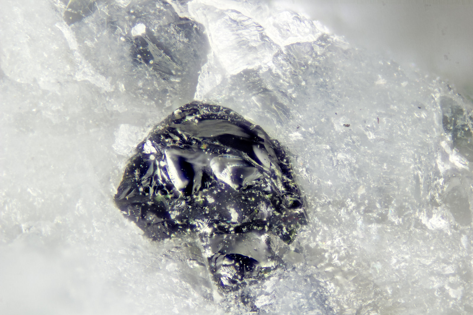 Hercynite
FOV = 1.2mm
(Autor: Doug)