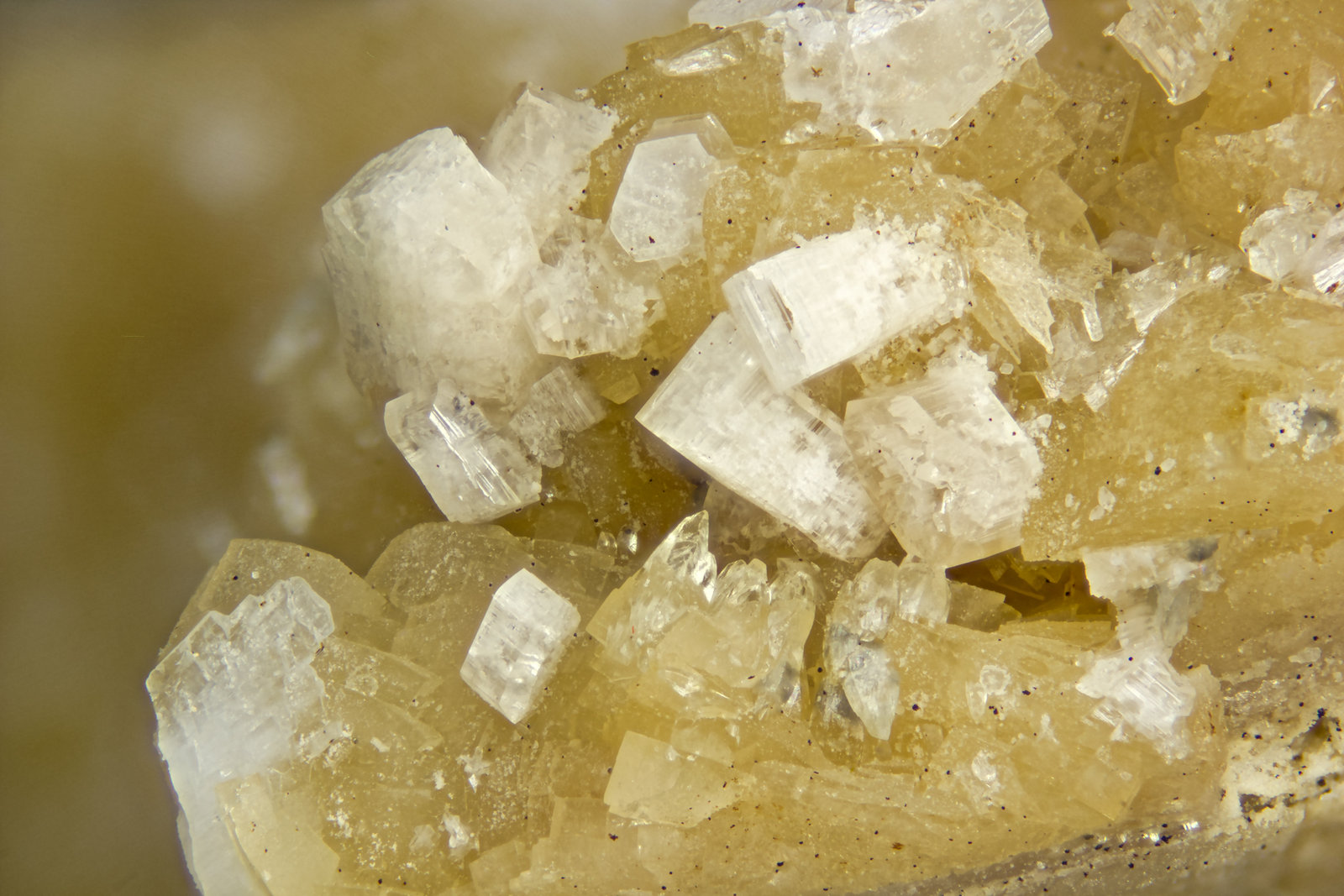 Horvathite-(Y)
FOV = 4mm
(Autor: Doug)