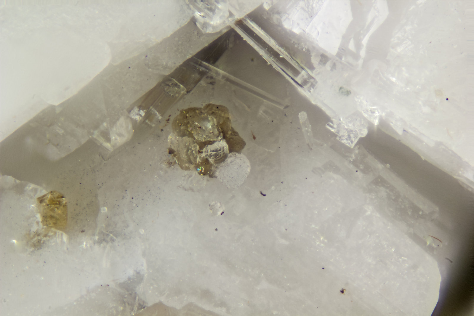 Korobitsynite
FOV = 1mm
(Autor: Doug)