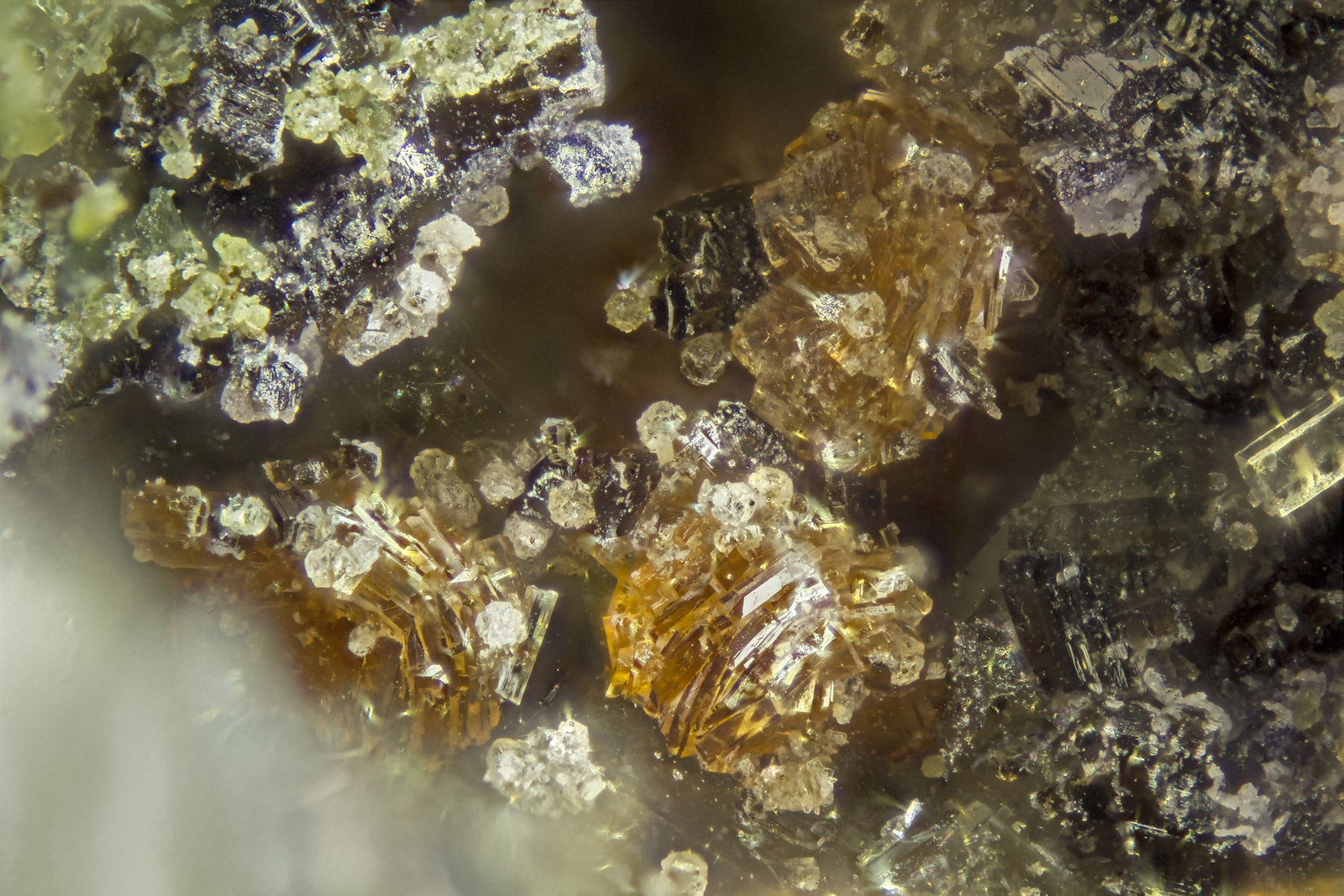 Labuntsovite-(Mn)
FOV = 2mm
(Autor: Doug)