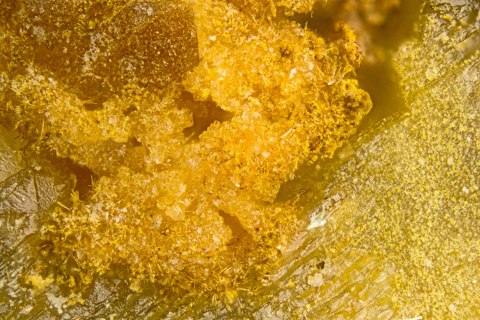 Lepidocrocite
FOV = 2mm
(Autor: Doug)