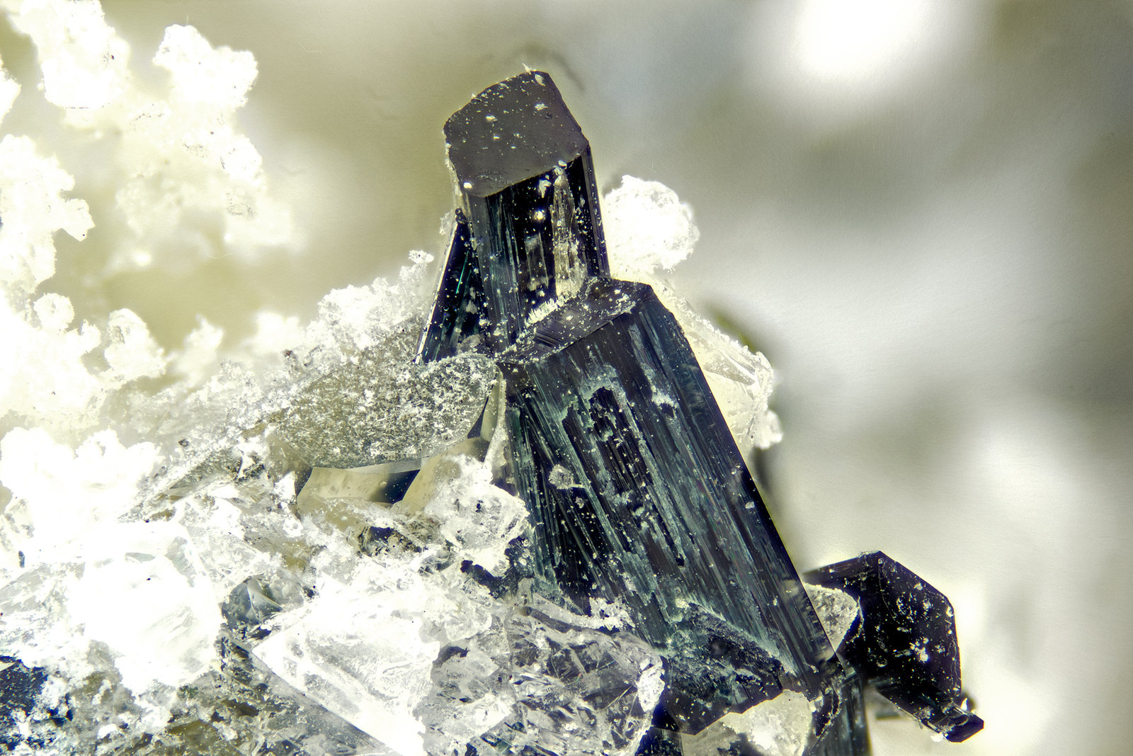 Magnesio-arfvedsonite
FOV = 4mm
(Autor: Doug)