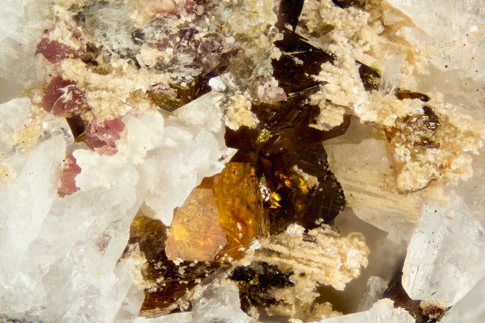 Manganoneptunite
FOV = 4mm
(Autor: Doug)