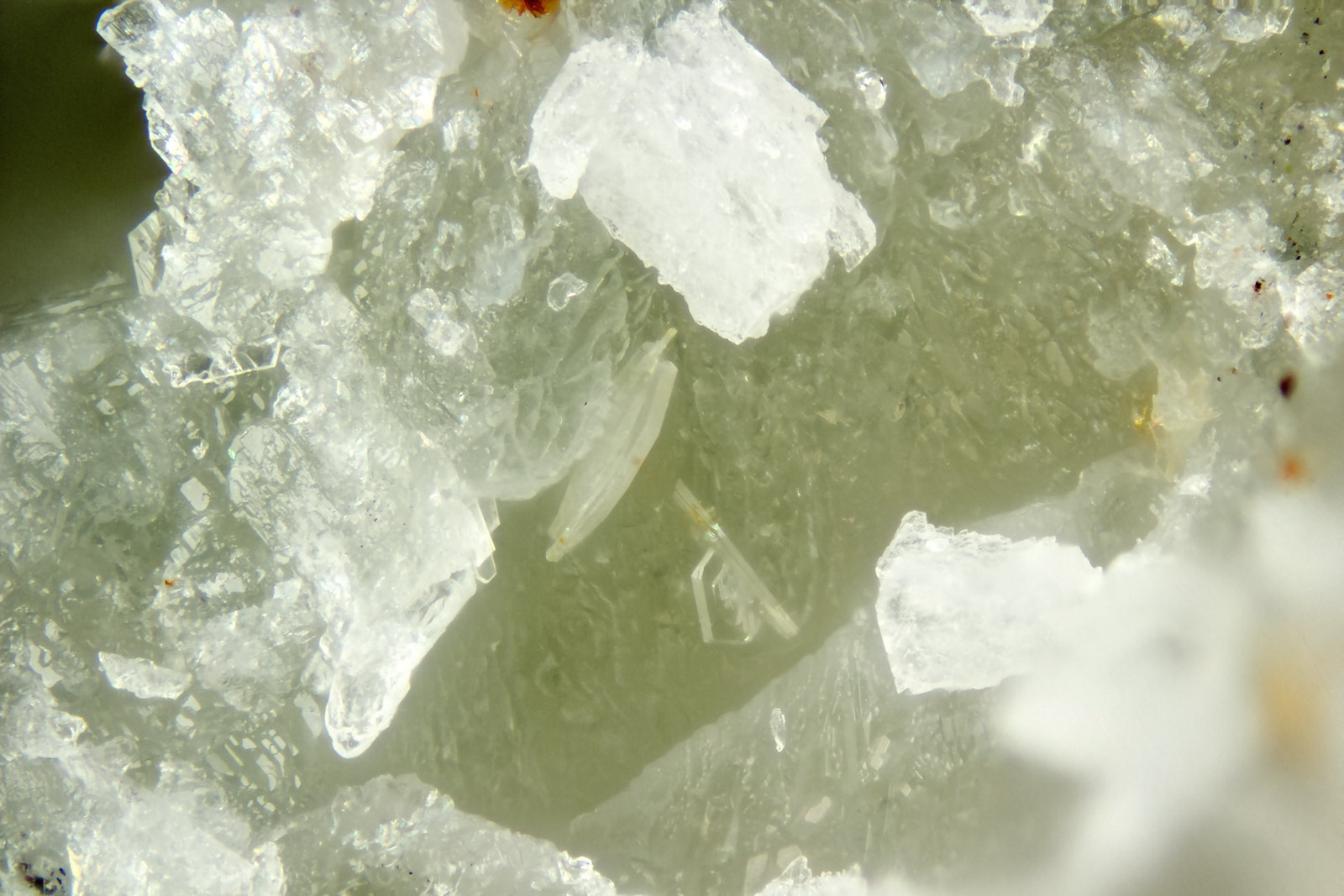 Martinite
FOV = 2mm
(Autor: Doug)