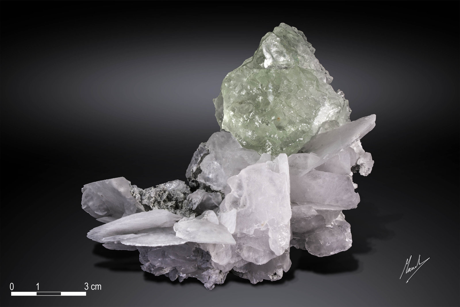 Fluorite on Calcite
118 x 94 mm
(Autor: Manuel Mesa)