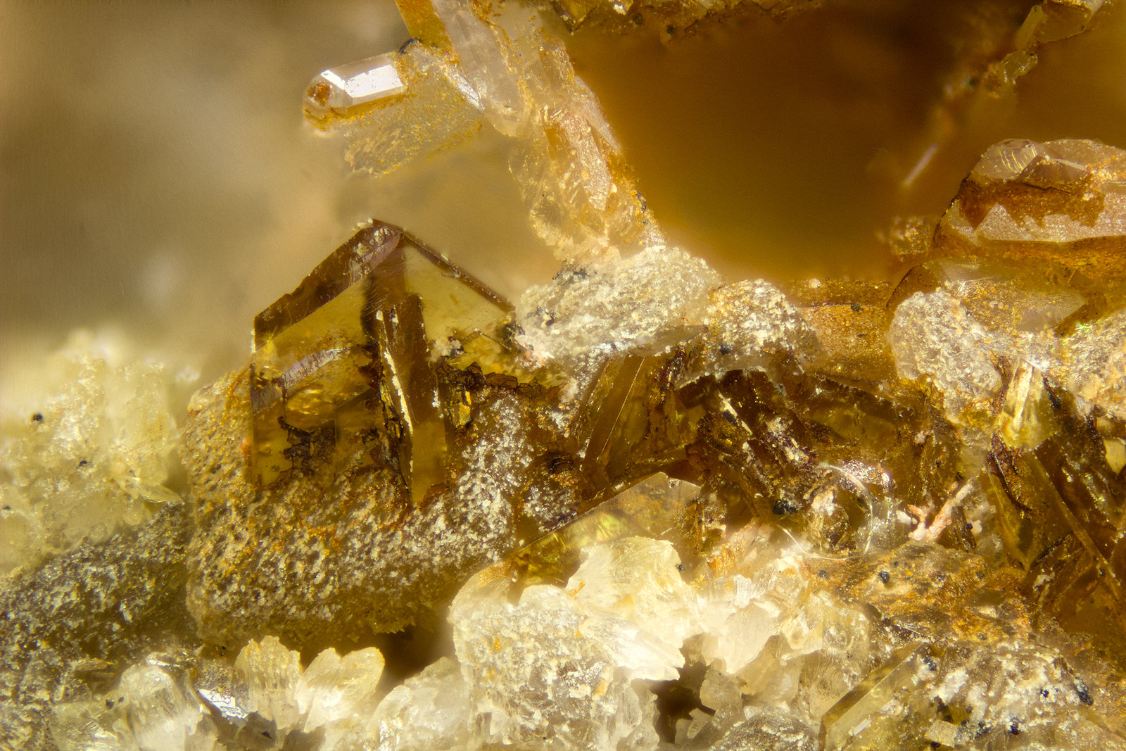 Monazite-(Ce)
FOV = 2mm
(Autor: Doug)