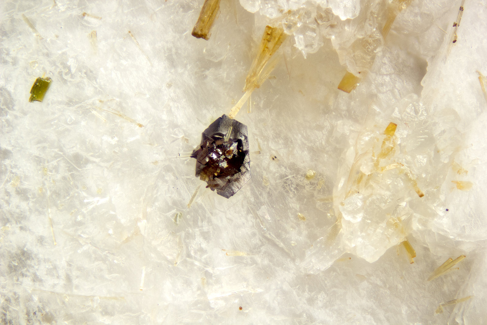 Wurtzite
FOV = 2mm
(Autor: Doug)