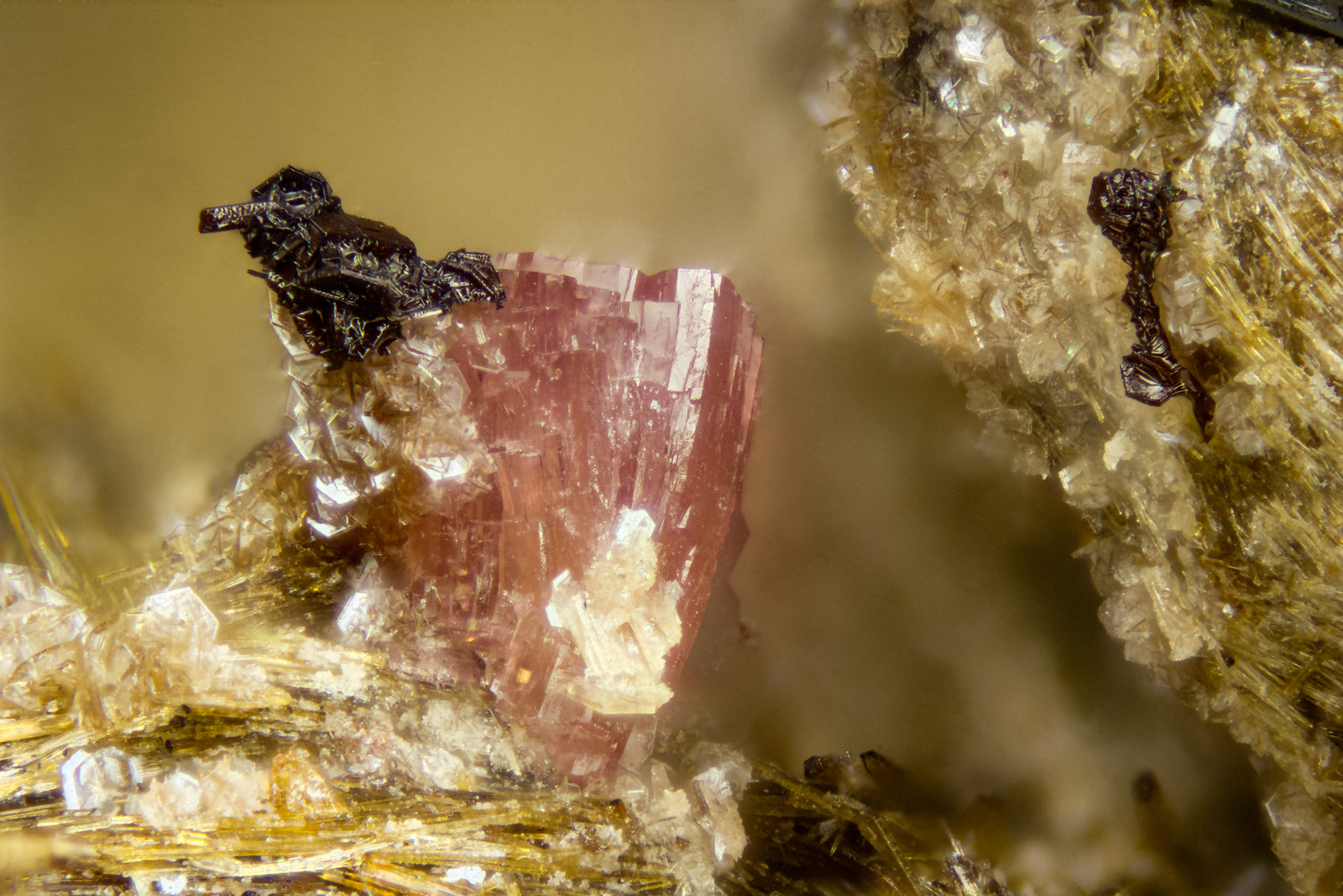 Petarasite
FOV = 2mm
(Autor: Doug)