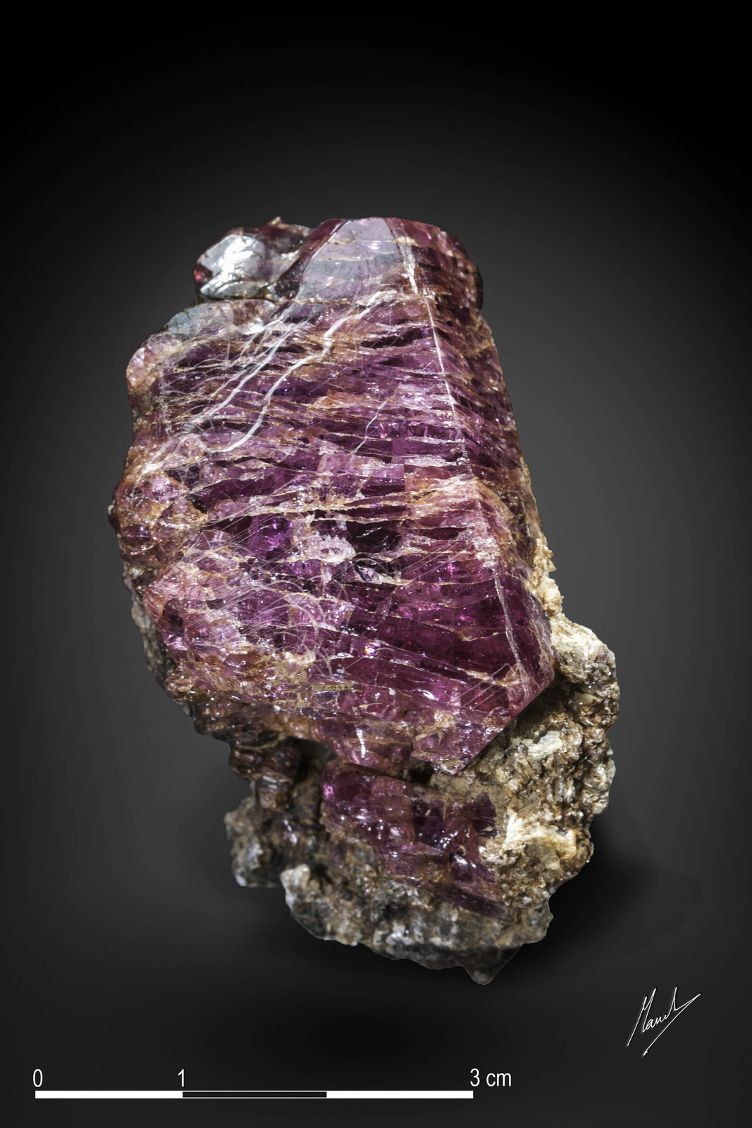 Spinel
49 x 26 mm
(Autor: Manuel Mesa)