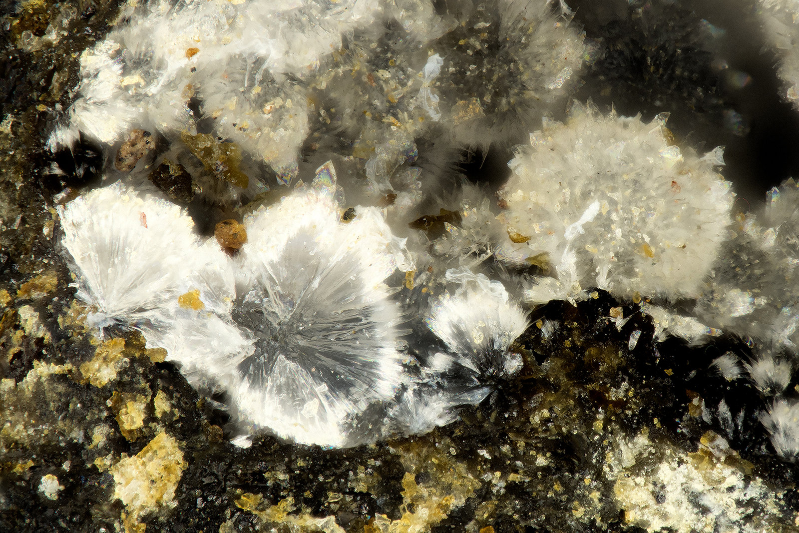 Cowlesite
FOV = 1.2 mm
(Autor: Doug)