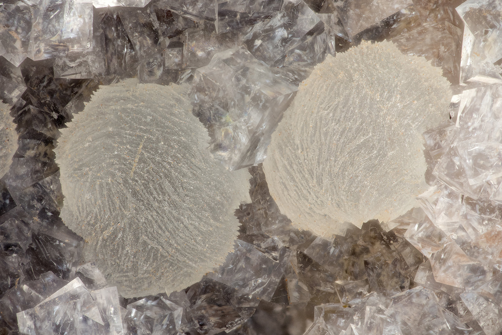 Thomsonite-Ca, Chabazite-Ca
FOV = 3.5 mm
(Autor: Doug)