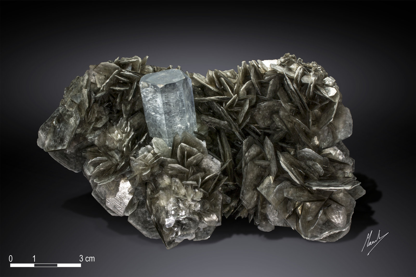 Beryl (variety aquamarine)
135 X 82 mm
(Autor: Manuel Mesa)