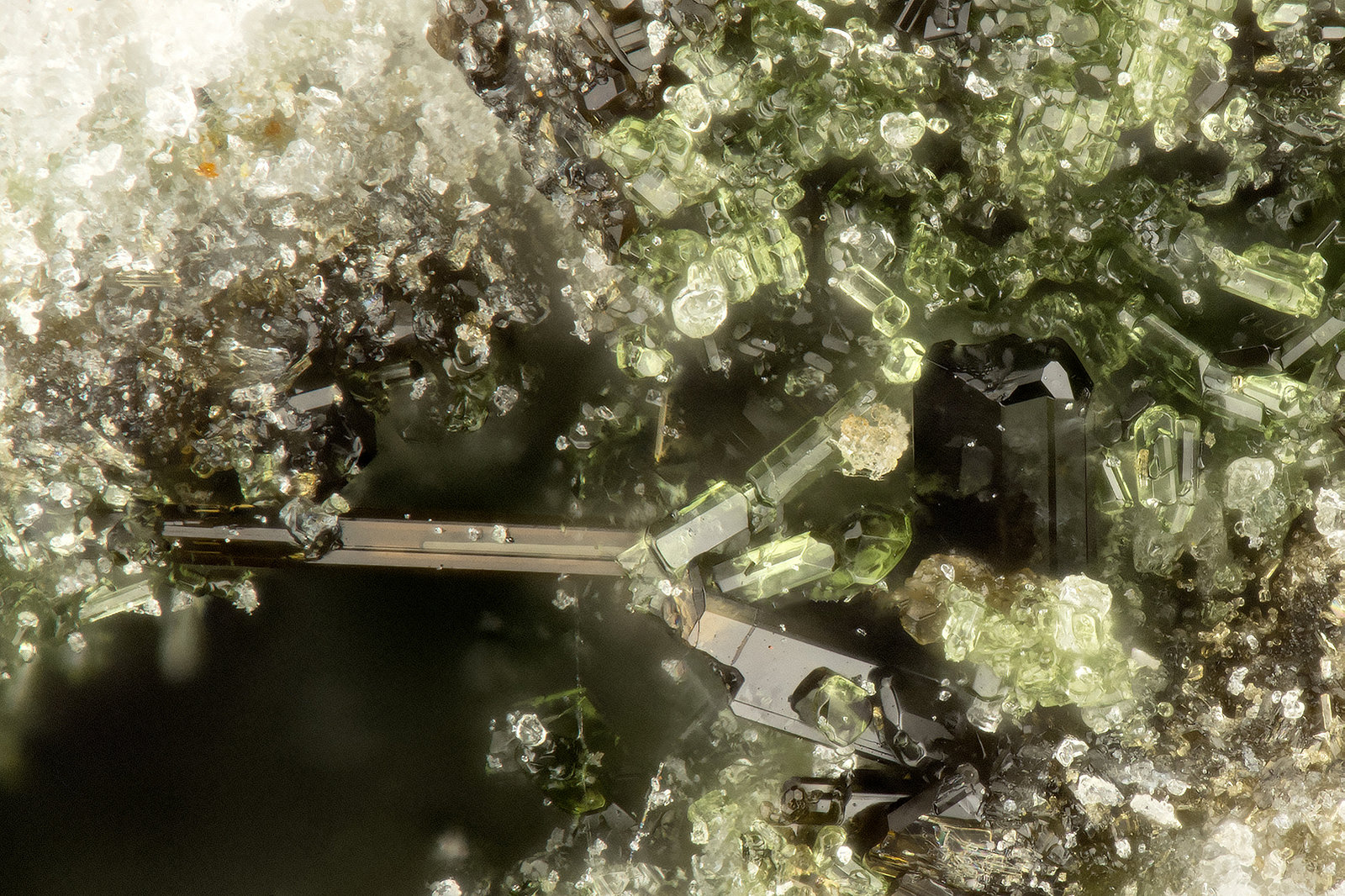 Epidote, Aenigmatite
FOV = 0.9 mm
(Autor: Doug)