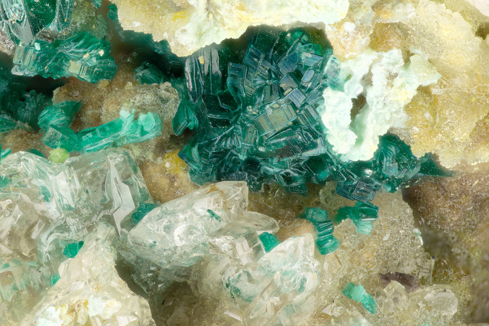 Brochantite, Cerussite
FOV = 2.9 mm
(Autor: Doug)