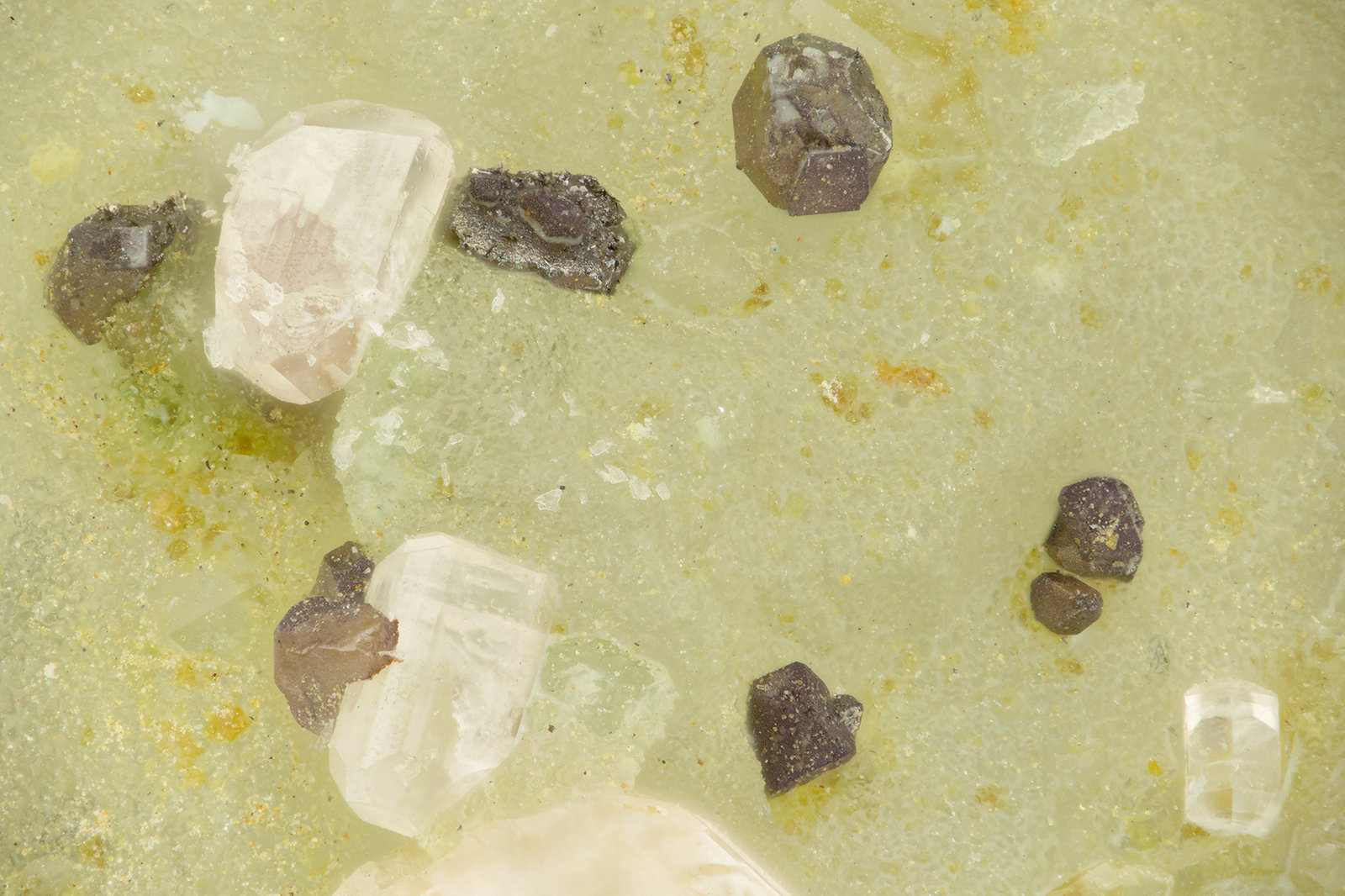 Chlorargyrite, Cerussite
FOV = 1.8 mm
(Autor: Doug)