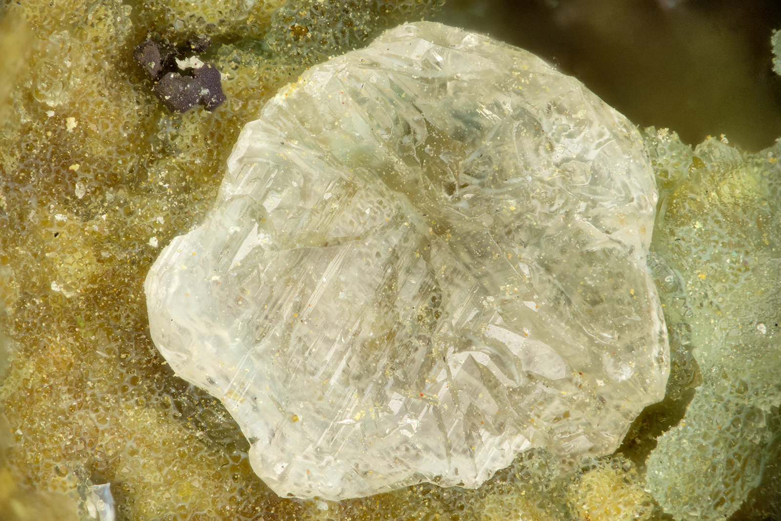 Cerussite
FOV = 1.8 mm
(Autor: Doug)