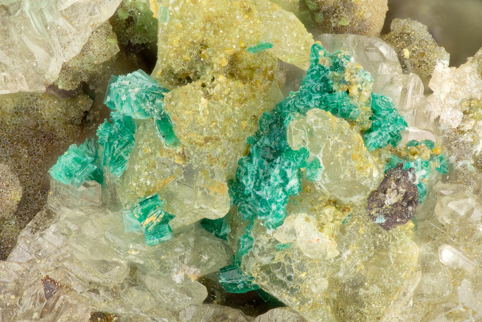Brochantite, Cerussite
FOV = 3.2 mm
(Autor: Doug)