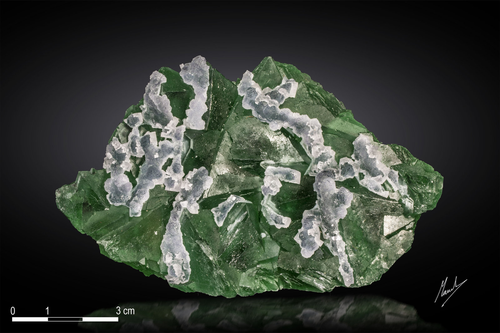 Fluorite
110 x 72 mm
(Autor: Manuel Mesa)