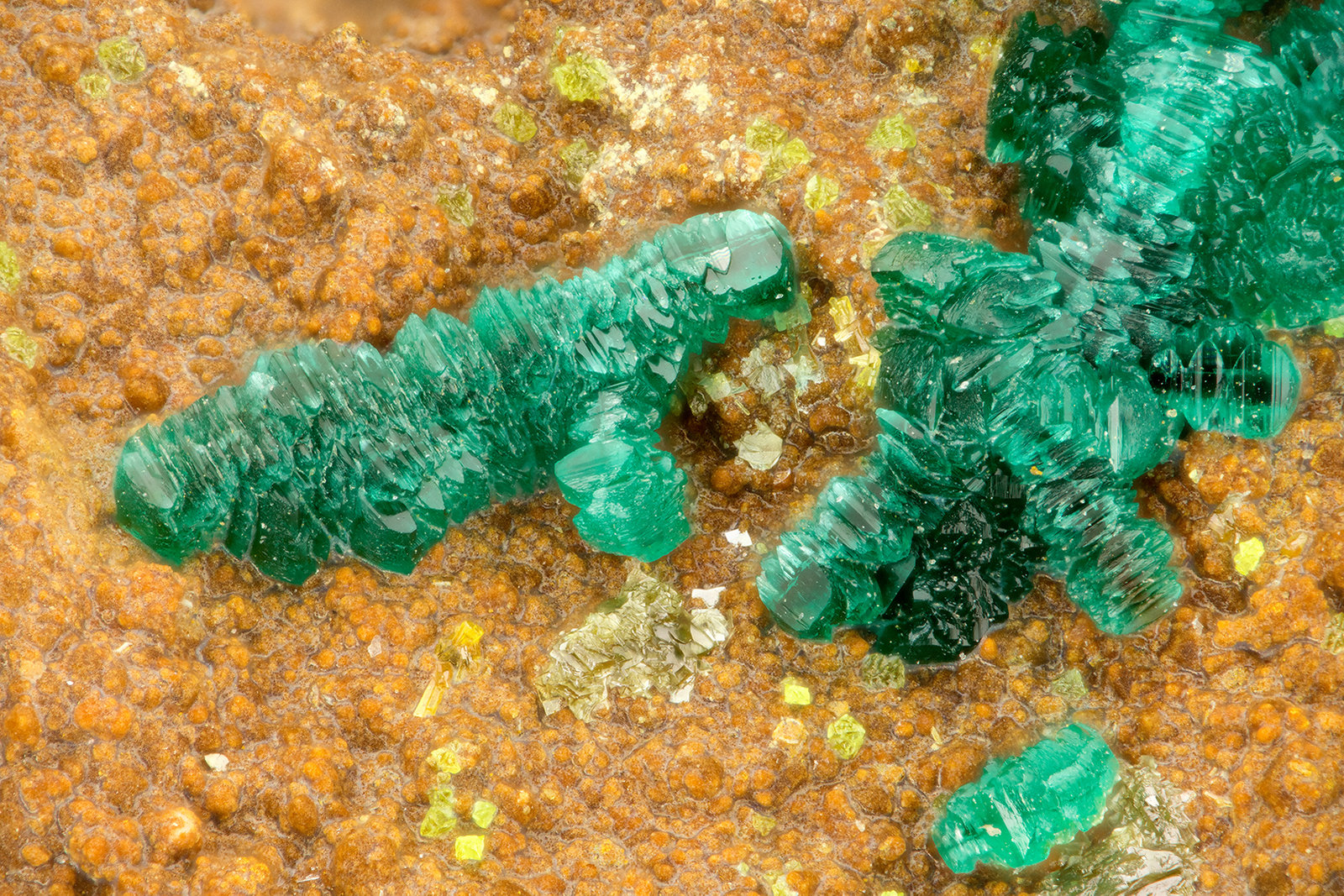 Brochantite
FOV = 1.5 mm
(Autor: Doug)