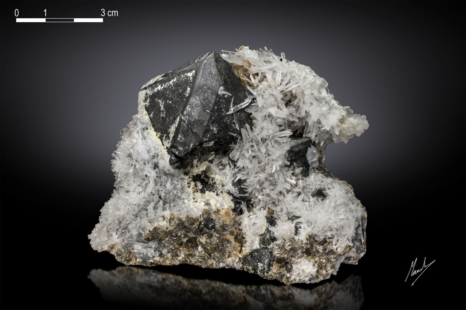 Magnetite with Olshanskyite and Roweite
94 X 78 mm
(Autor: Manuel Mesa)