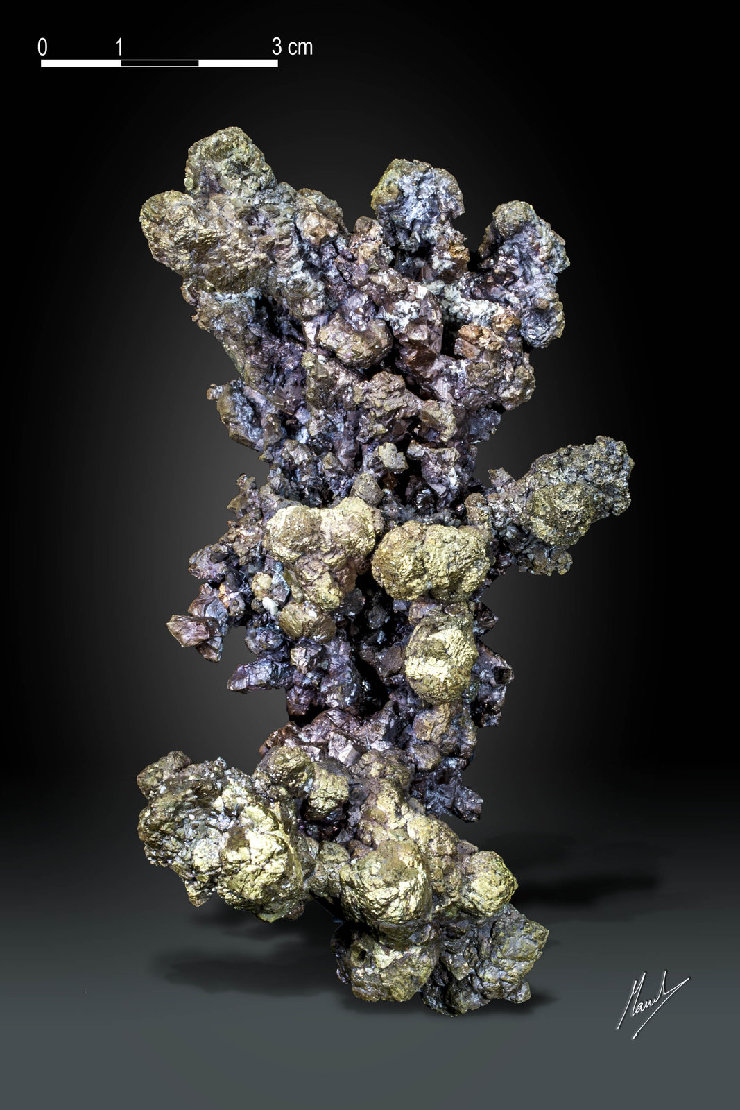 Copper
115 X 60 mm
(Autor: Manuel Mesa)