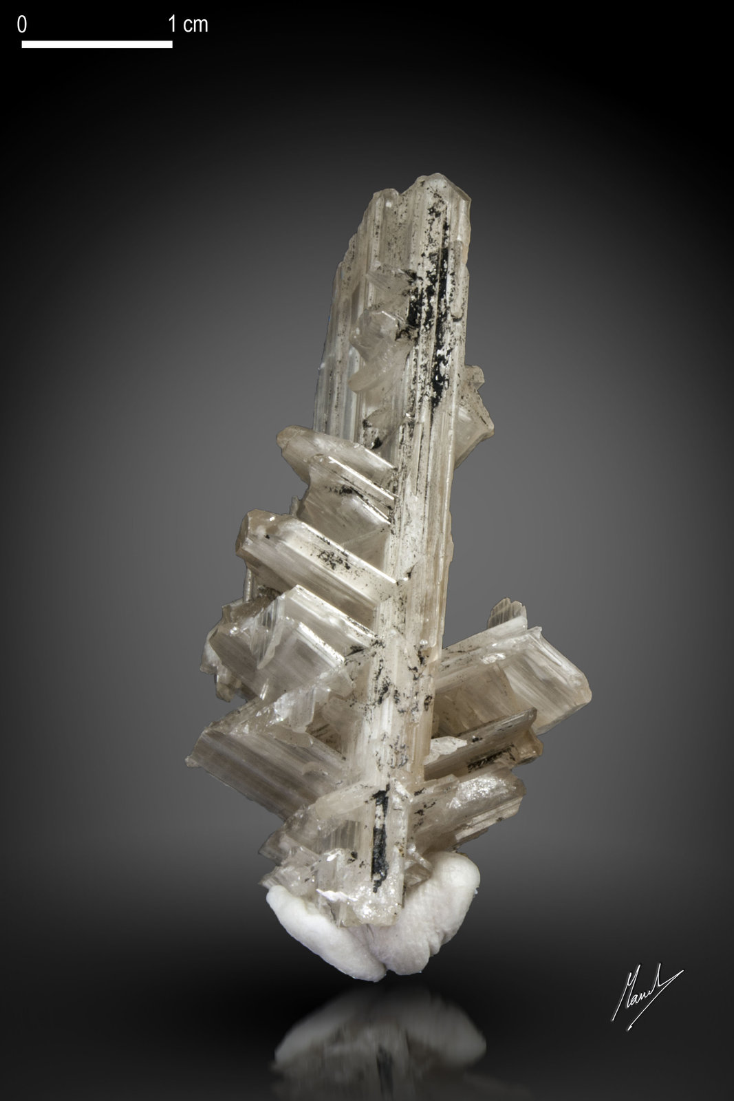 Cerussite
55 x 41 mm
(Autor: Manuel Mesa)