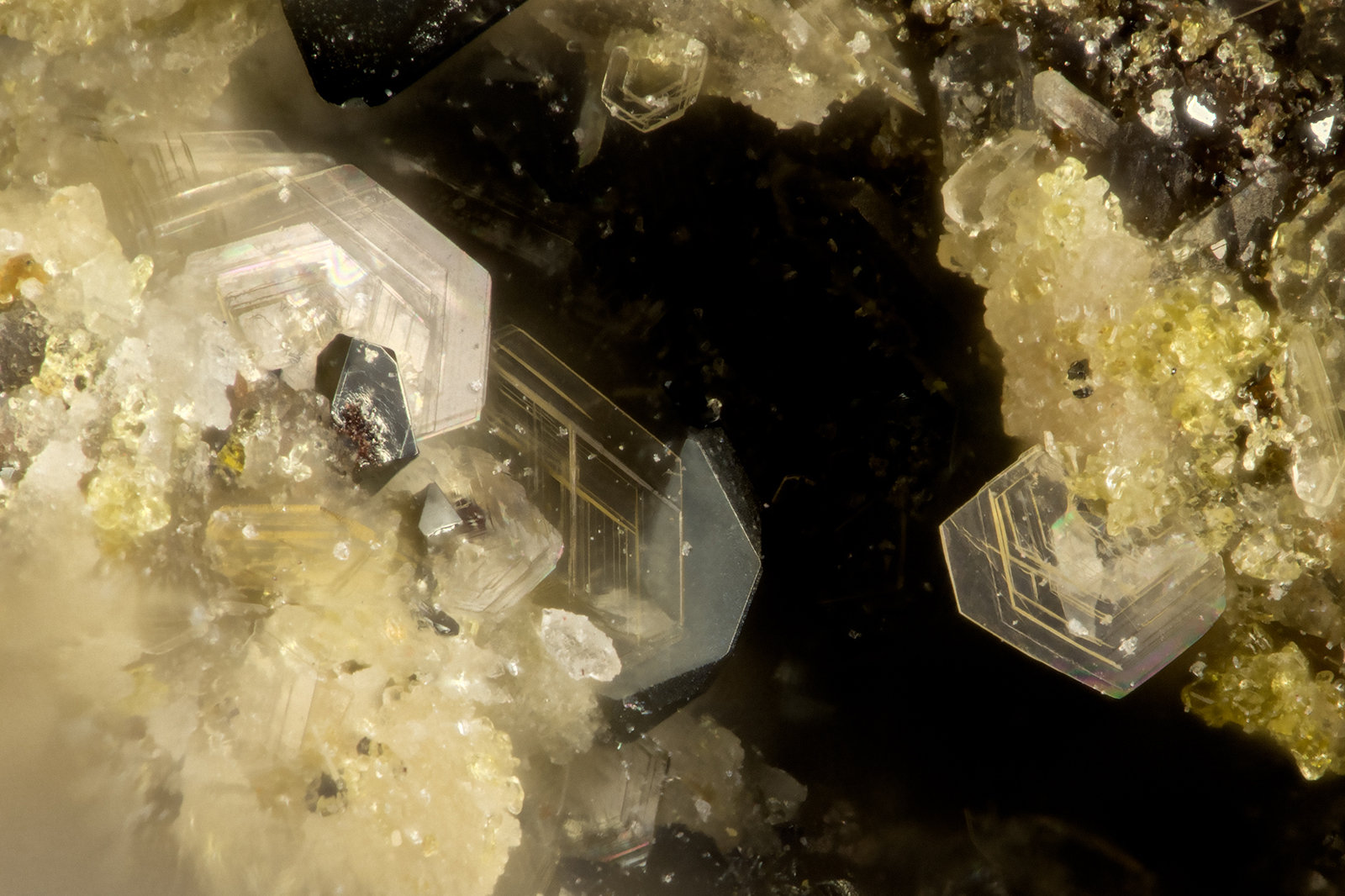 Phlogopite
FOV = 1.0 mm
(Autor: Doug)