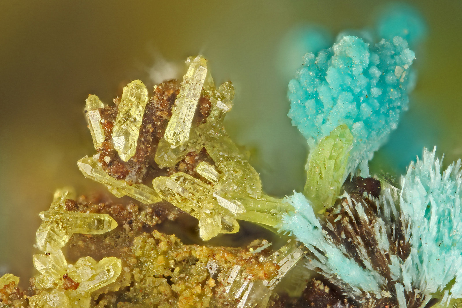 Mimetite, Chrysocolla
FOV = 1.6 mm
(Autor: Doug)