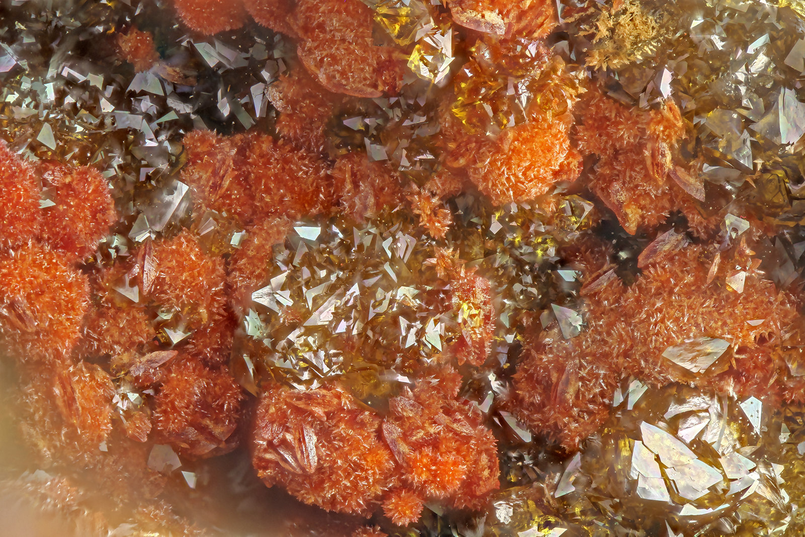 Carminite, Beudantite
FOV = 3.9 mm
(Autor: Doug)