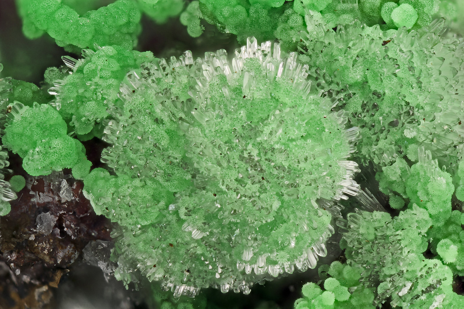 Conichalcite, Hemimorphite
FOV = 4.0 mm
(Autor: Doug)