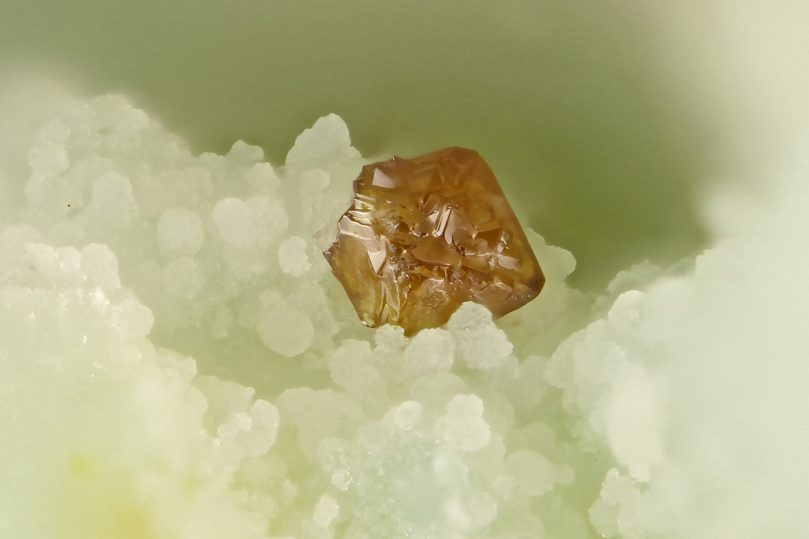 Descloizite
FOV = 0.9 mm
(Autor: Doug)