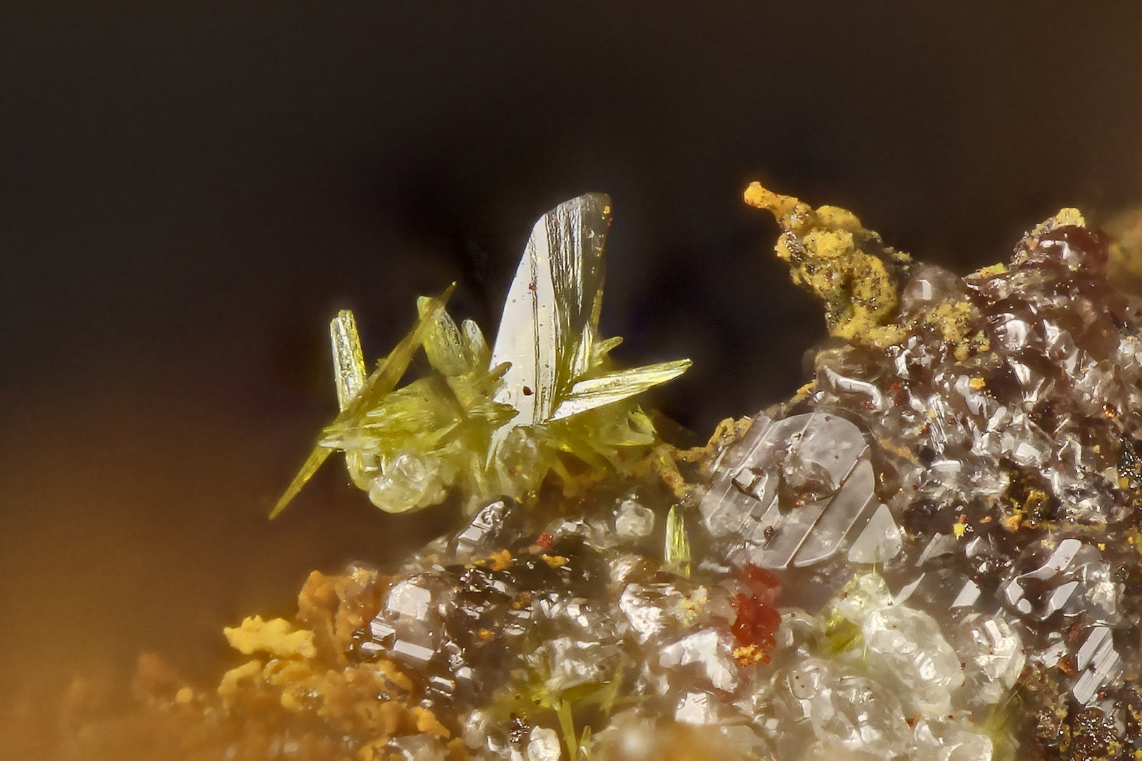 Fornacite
FOV = 0.7 mm
(Autor: Doug)