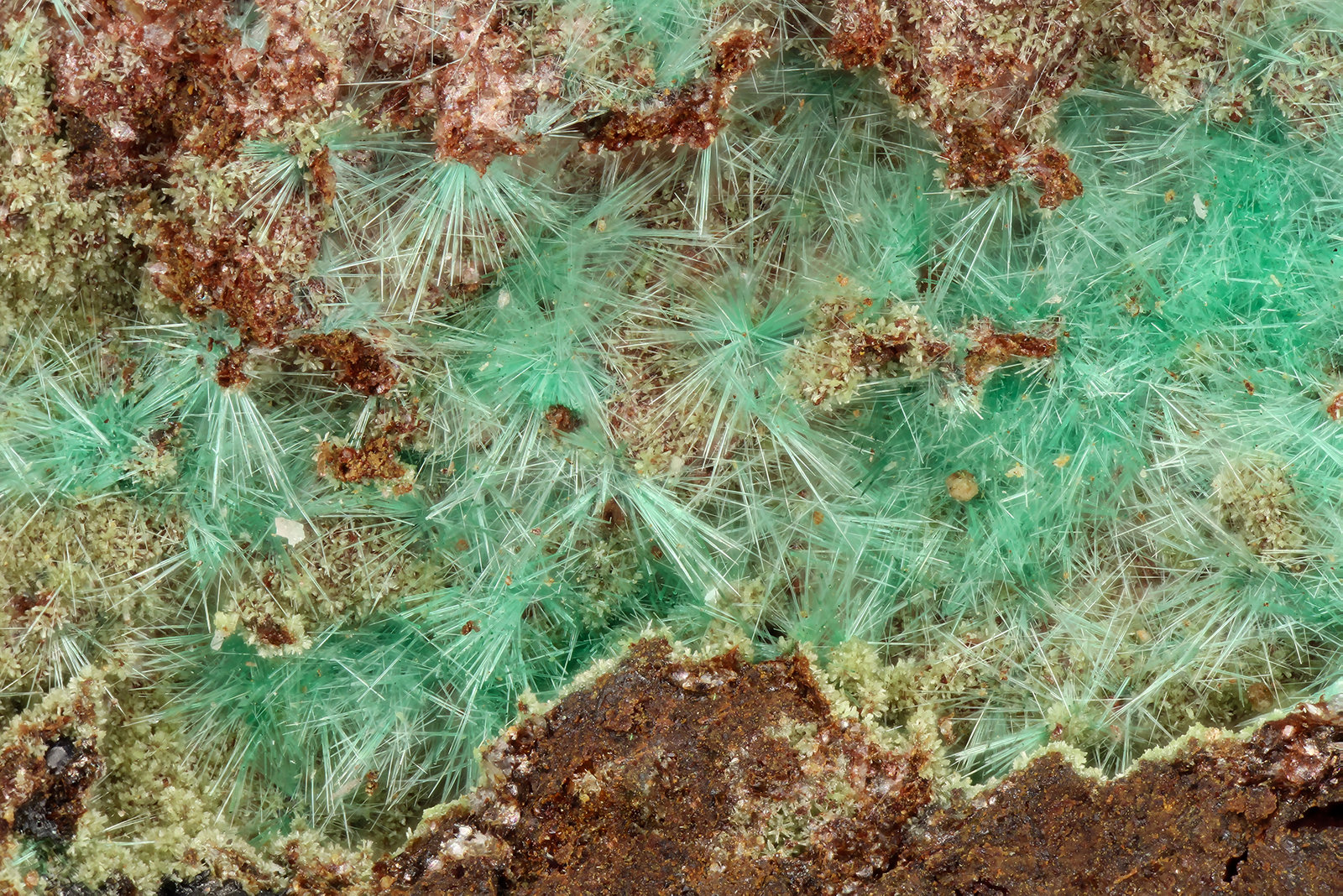 Agardite-(Y)
FOV = 4.0 mm
(Autor: Doug)