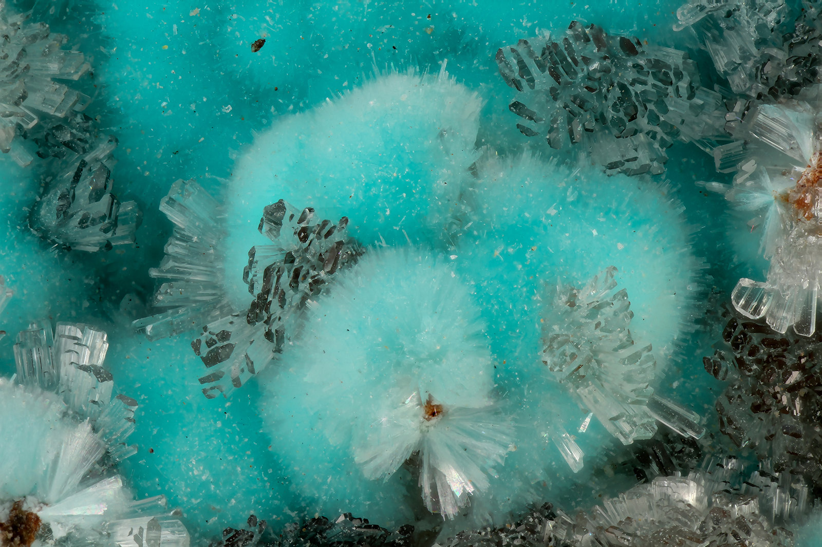 Aurichalcite, Hemimorphite
FOV = 4.0 mm
(Autor: Doug)