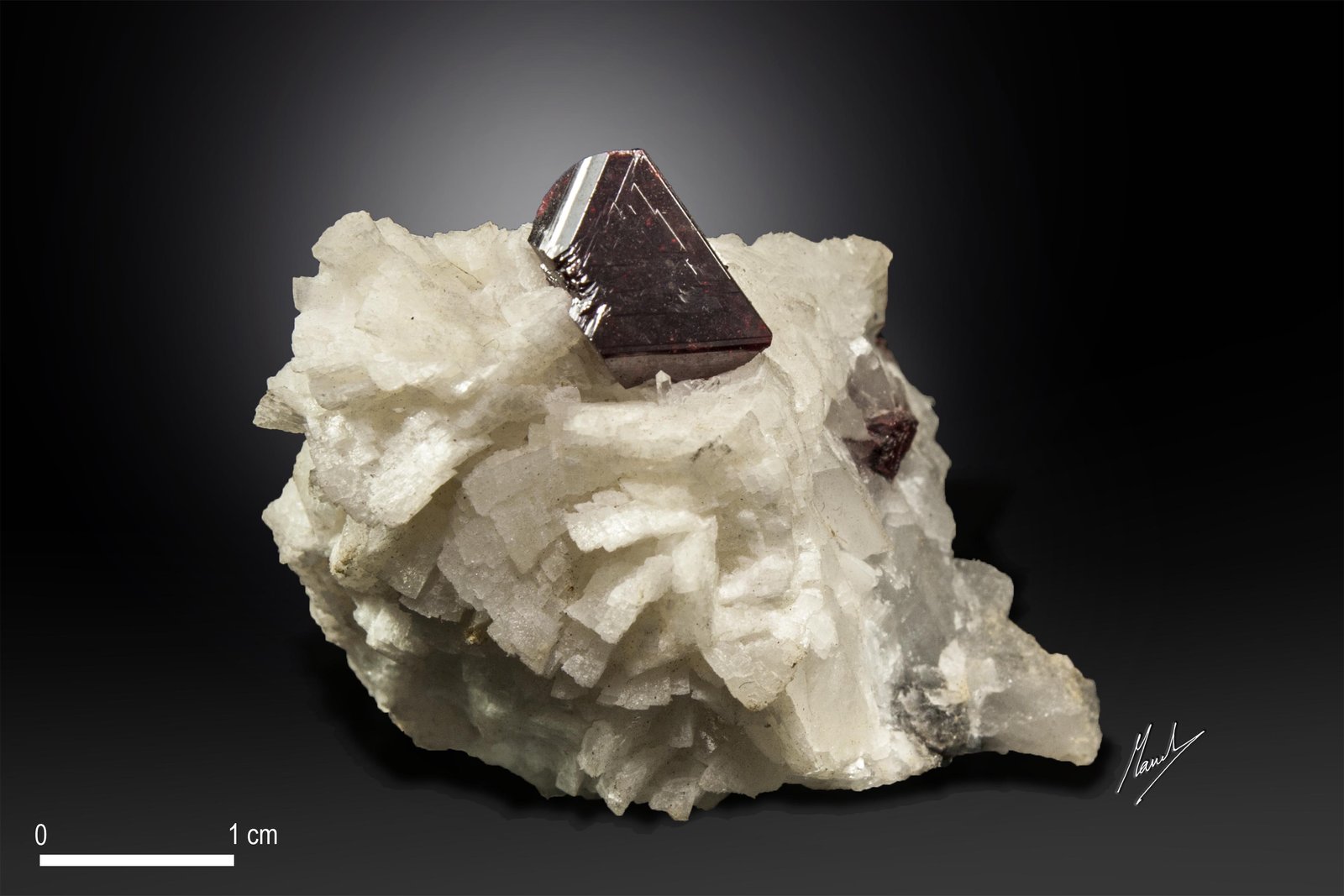 Cinnabar on Dolomite
38 x 21 mm
(Autor: Manuel Mesa)