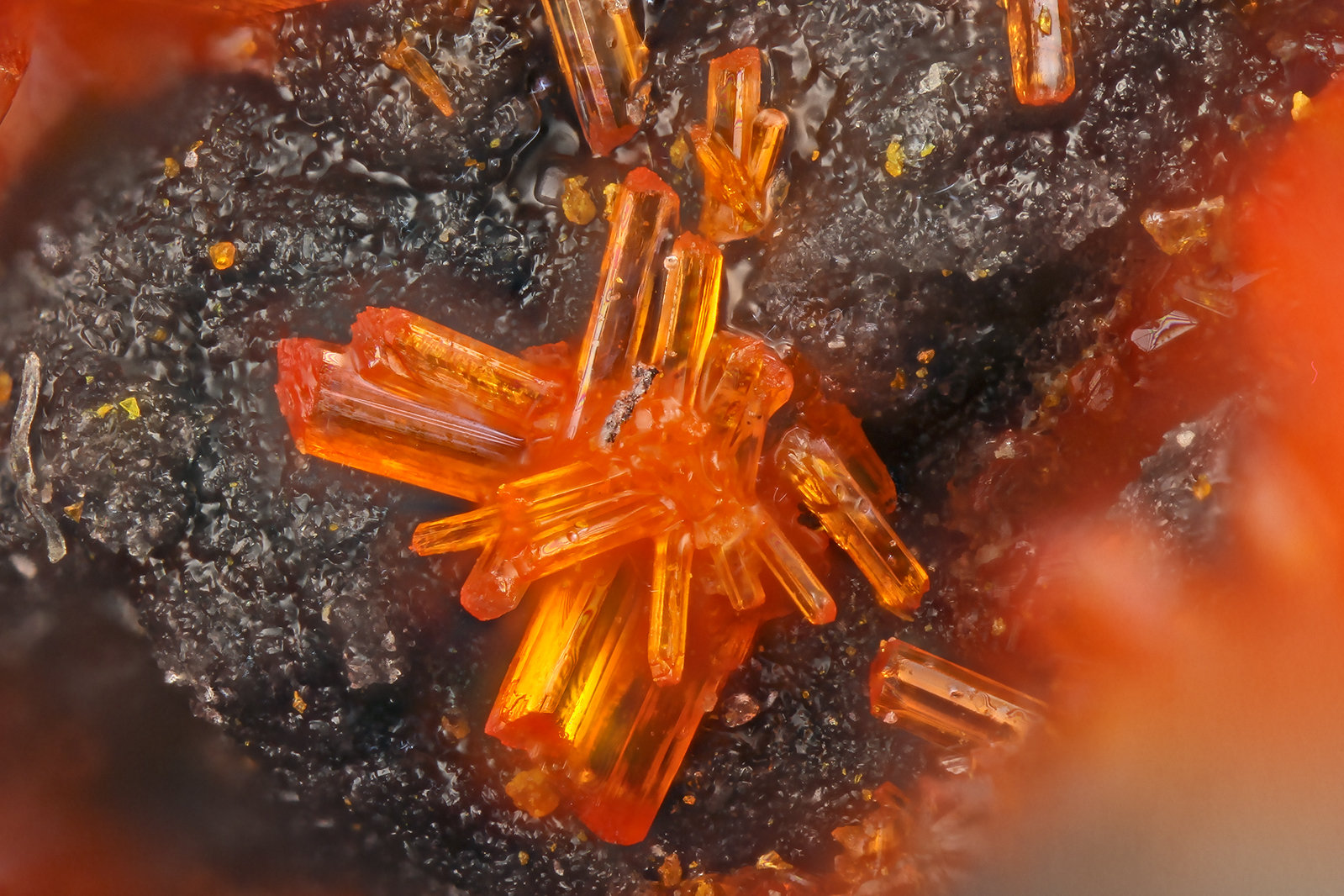 Realgar
FOV = 1.3 mm
(Autor: Doug)