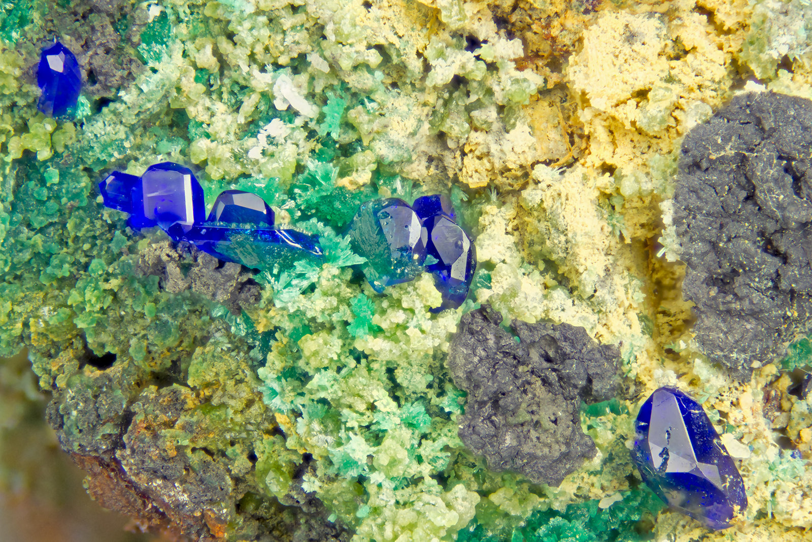 Azurite
FOV = 4.0 mm
(Autor: Doug)