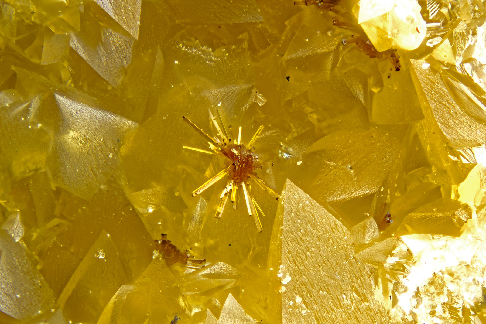 Whitmoreite
FOV = 2.0 mm
(Autor: Doug)