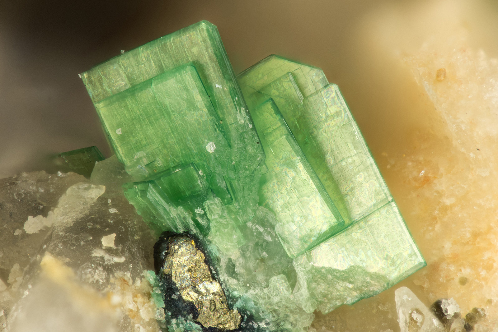 Torbernite
FOV = 1.3 mm
(Autor: Doug)
