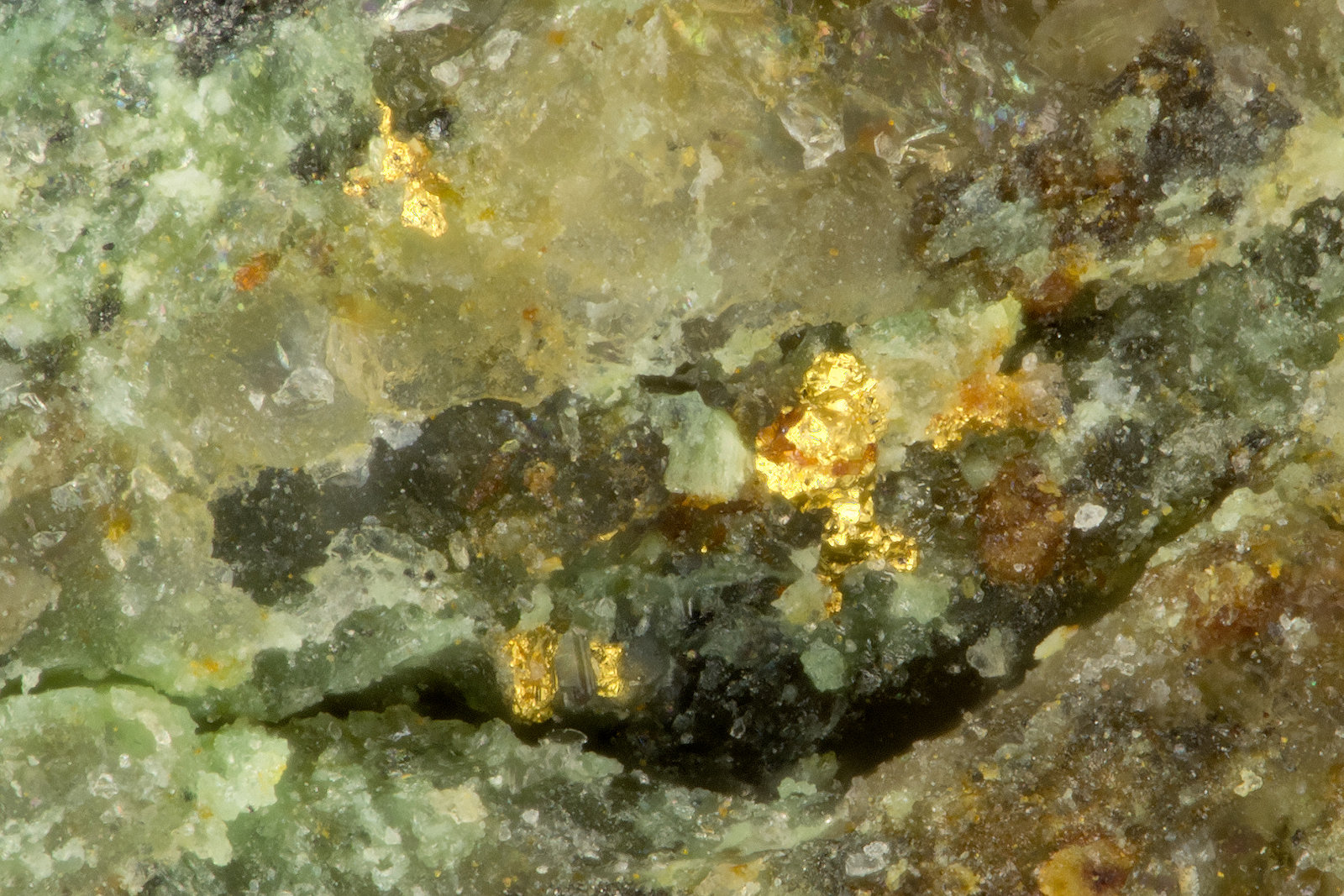 Gold
FOV = 0.7 mm
(Autor: Doug)