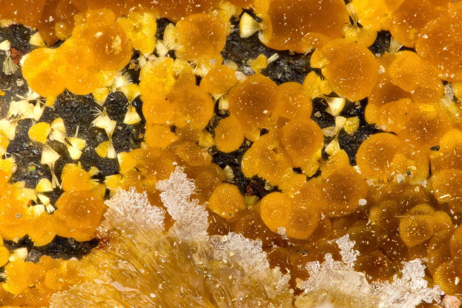 Cacoxenite
FOV = 1.5 mm
(Autor: Doug)