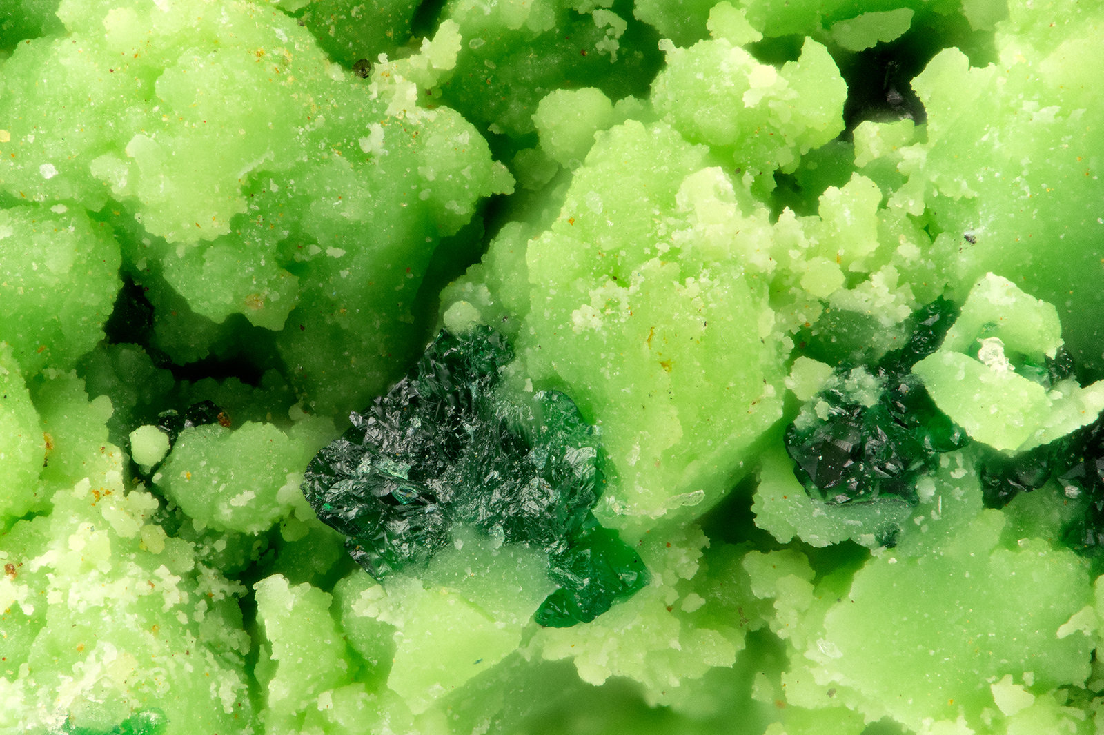 Gartrellite, Brochantite
FOV = 1.7 mm
(Autor: Doug)