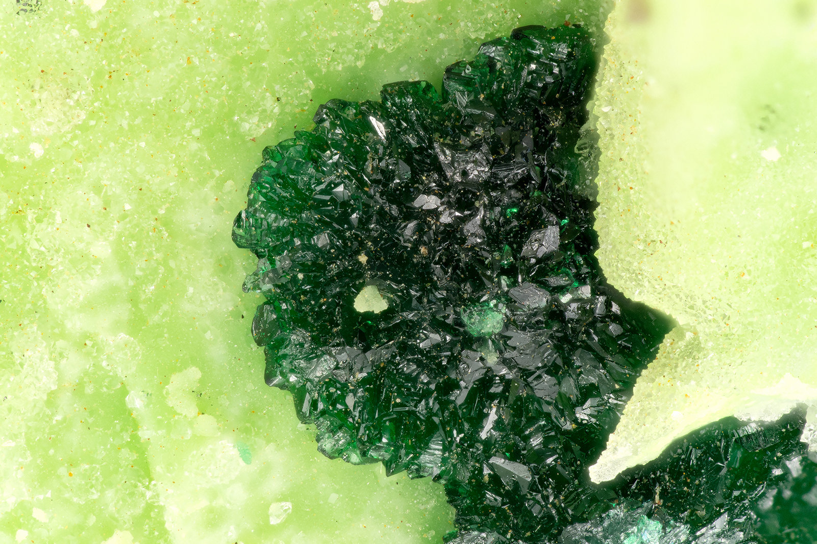 Brochantite
FOV = 2.7 mm
(Autor: Doug)