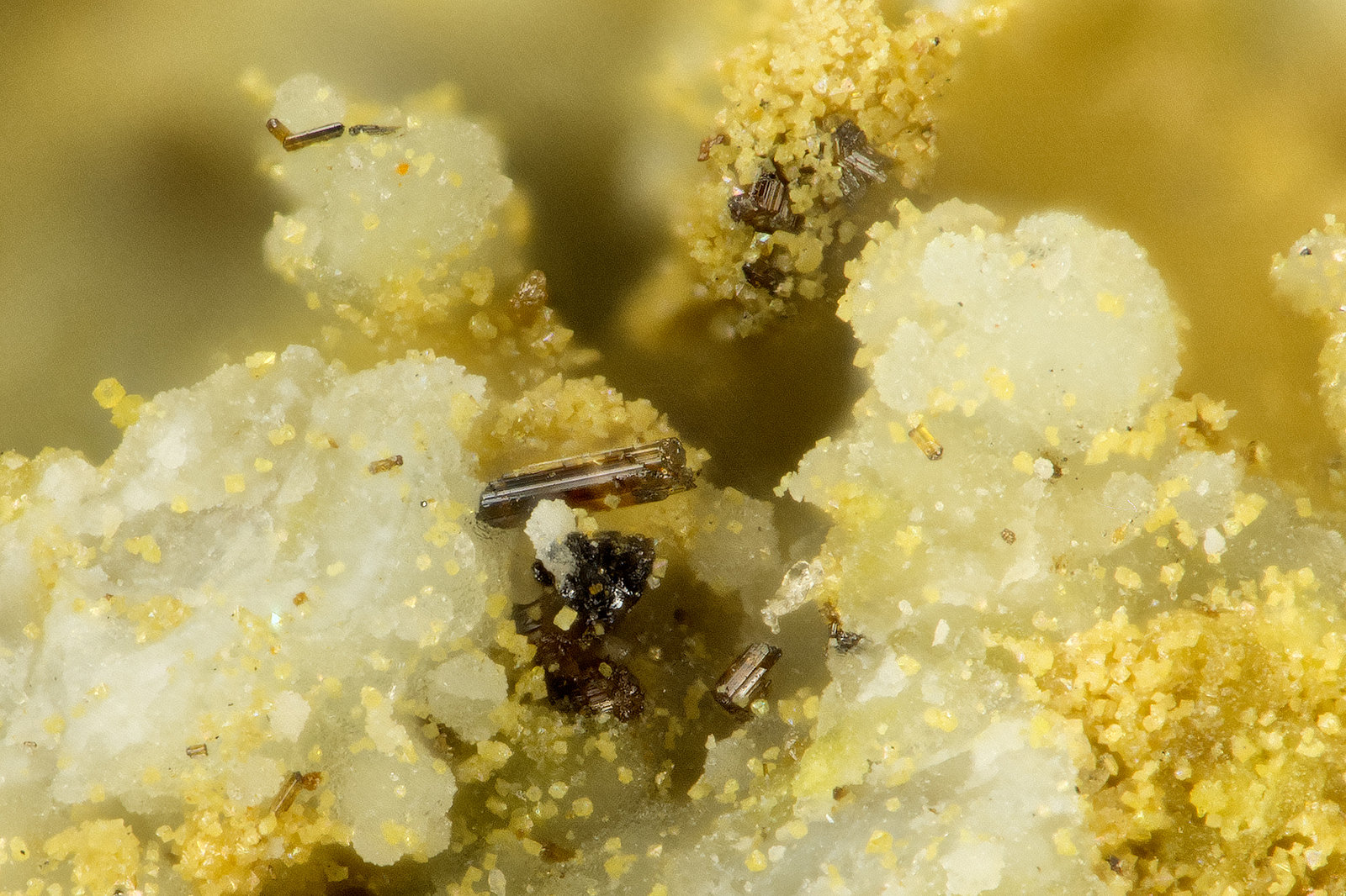 Rutile, Scorodite
FOV = 0.8 mm
(Autor: Doug)