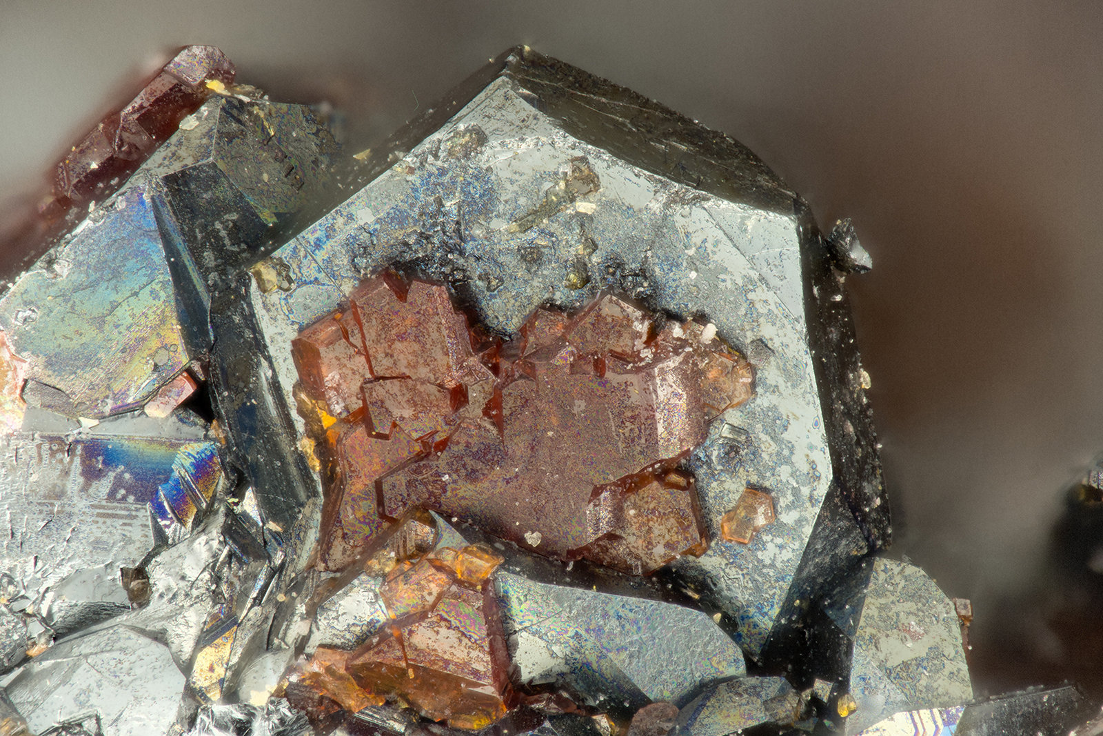 Cassiterite, Hematite
FOV = 1.8 mm
(Autor: Doug)