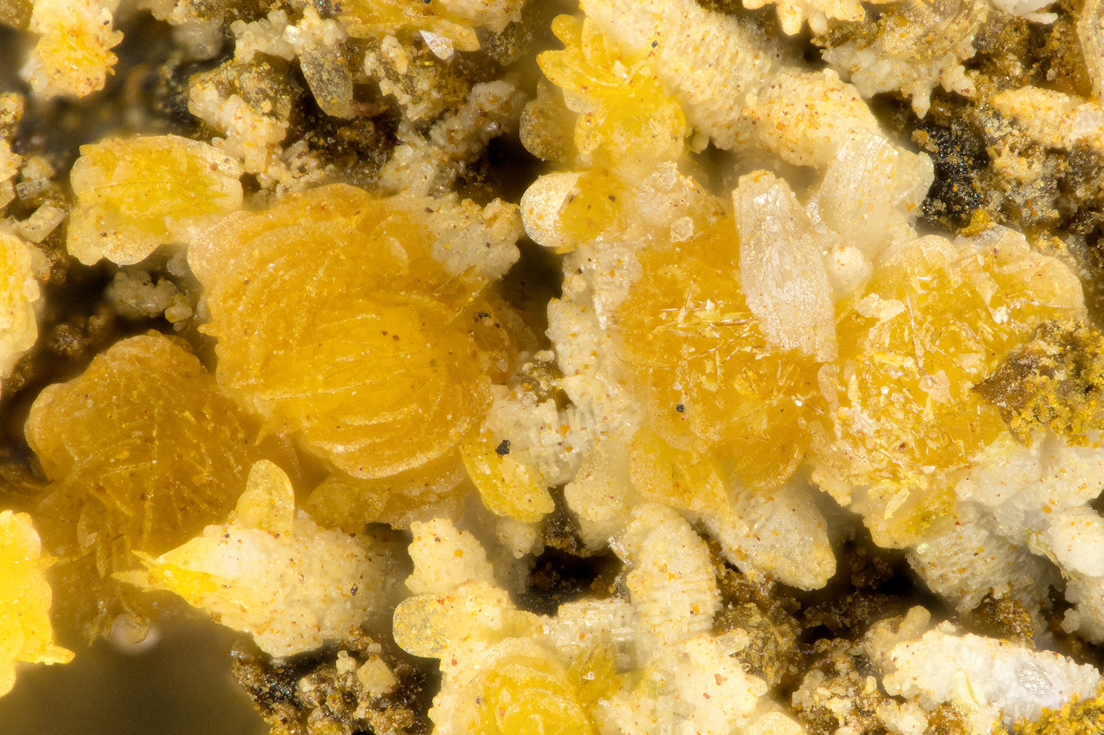 Descloizite, Vanadinite
FOV = 1.3 mm
(Autor: Doug)