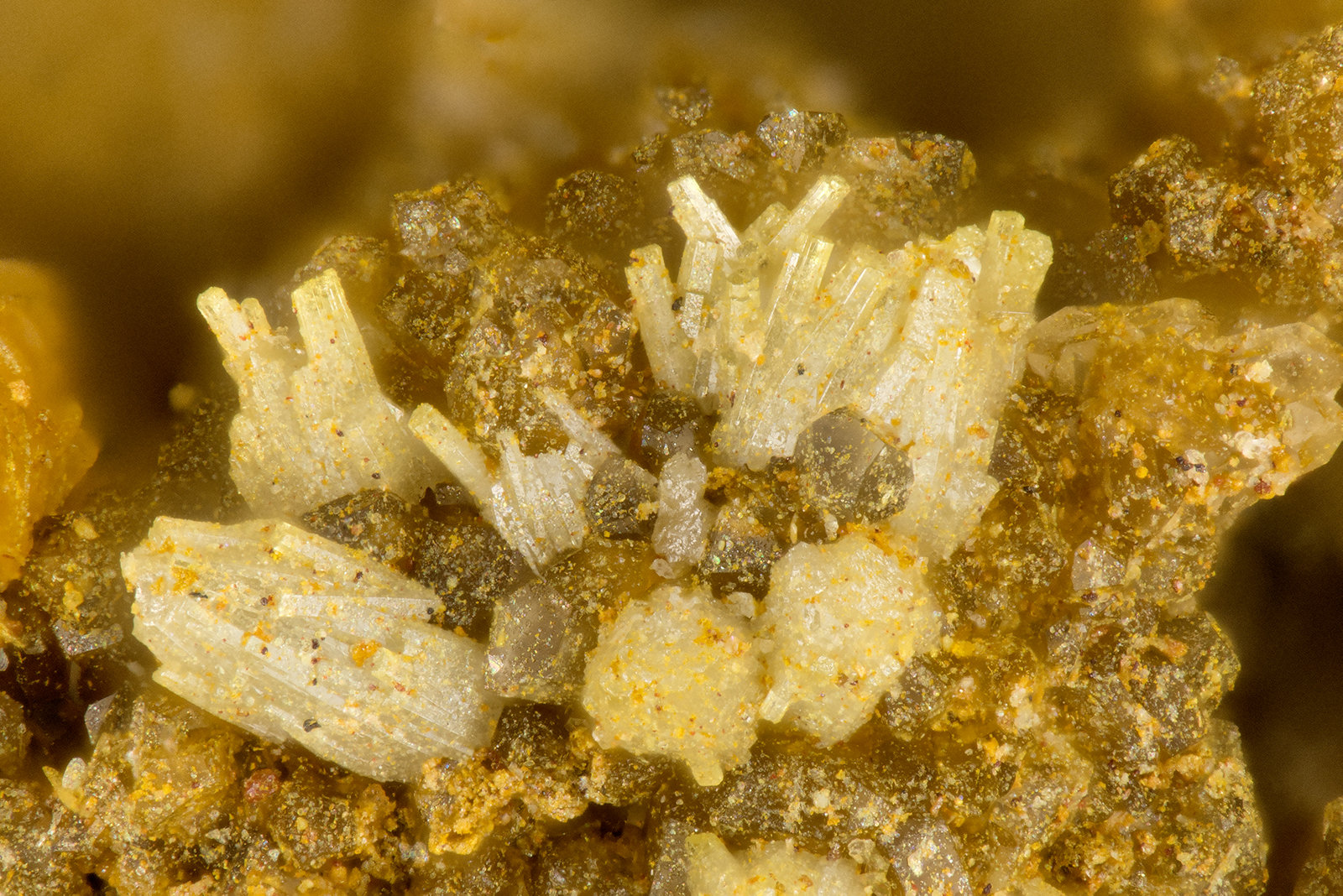 Vanadinite
FOV = 1.3 mm
(Autor: Doug)
