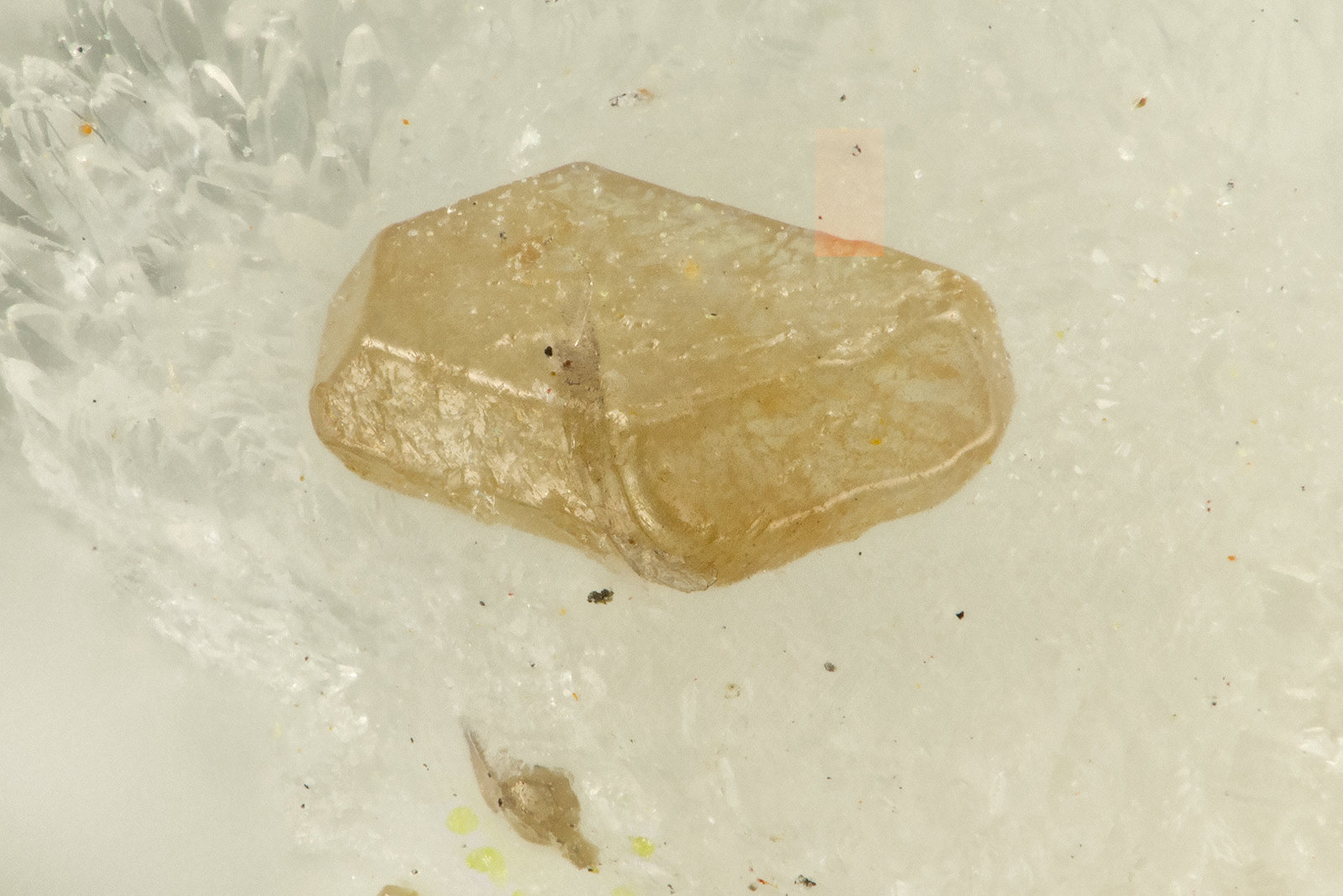 Chlorargyrite
FOV = 0.9 mm
(Autor: Doug)